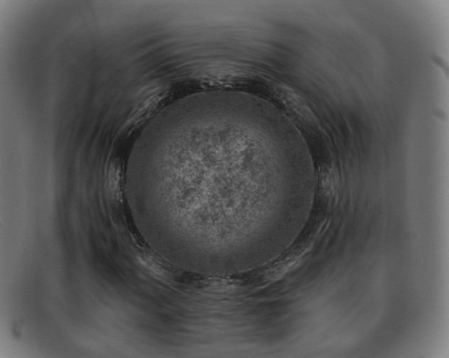 X0000092041060200709121149