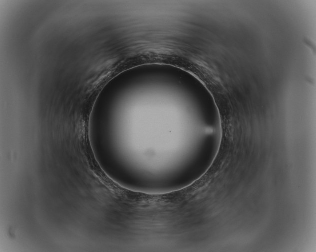 X0000092041061200709121149