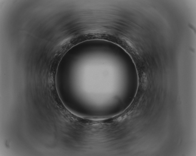 X0000092041062200709121149