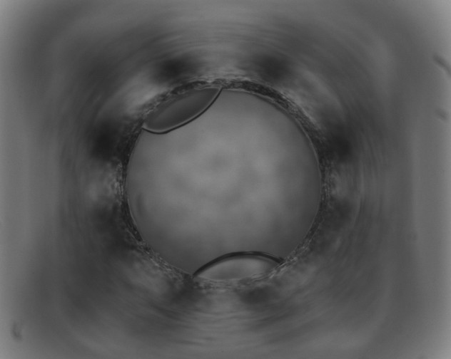 X0000092041063200709121149