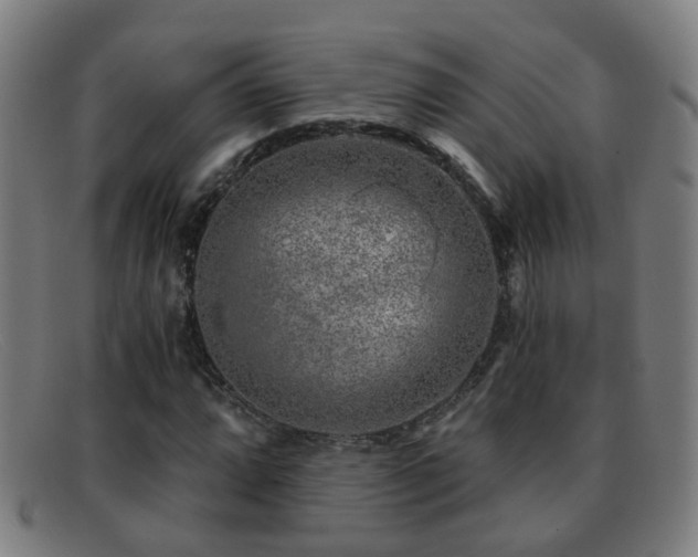 X0000092041064200709121149