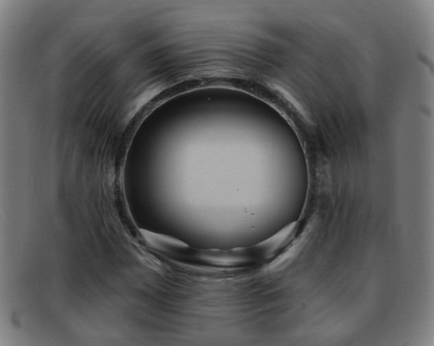 X0000092041065200709121149