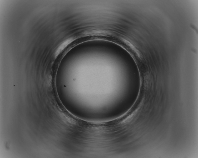 X0000092041066200709121149