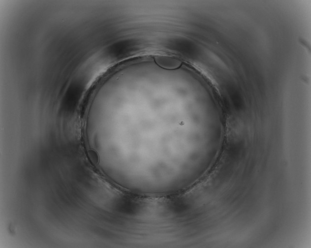 X0000092041067200709121149