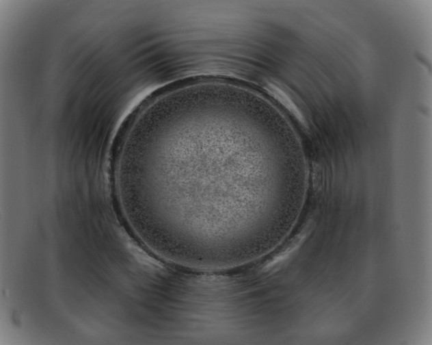 X0000092041068200709121149