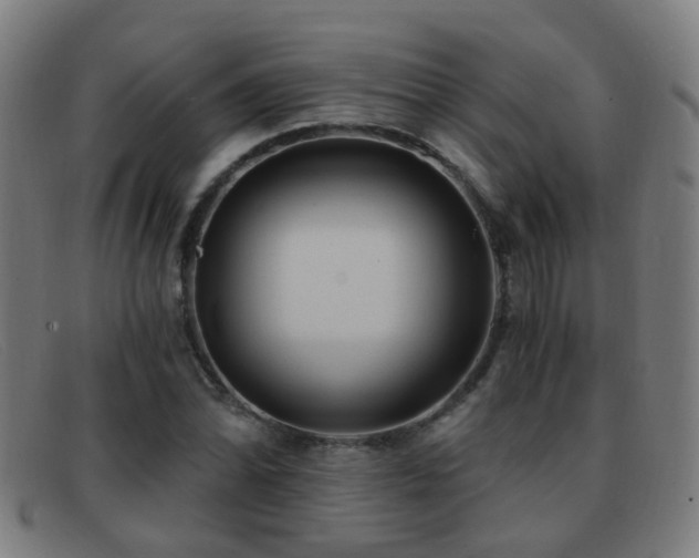 X0000092041070200709121149