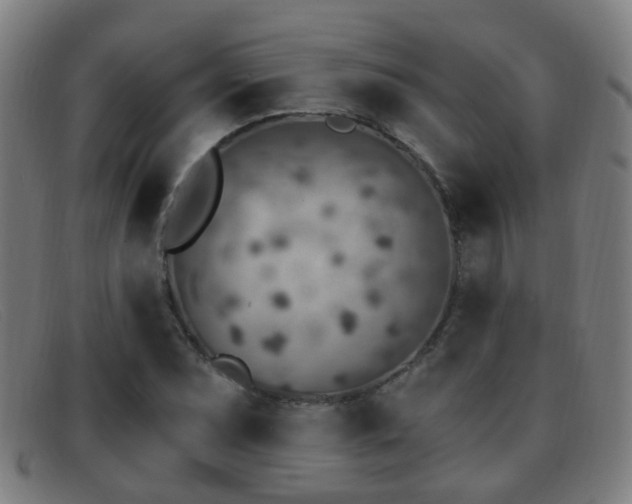 X0000092041071200709121149