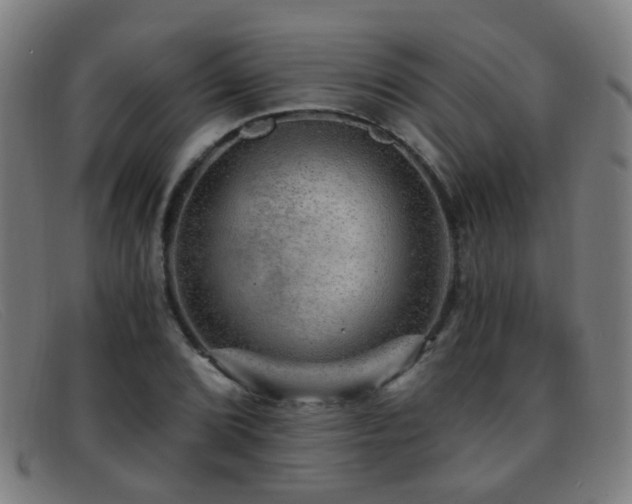 X0000092041072200709121149