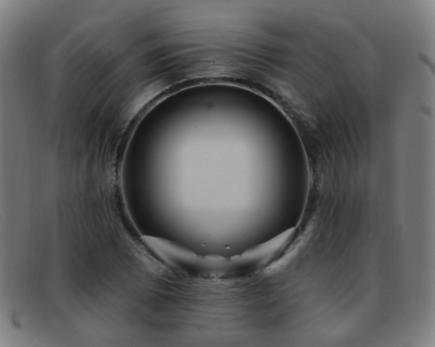 X0000092041073200709121149