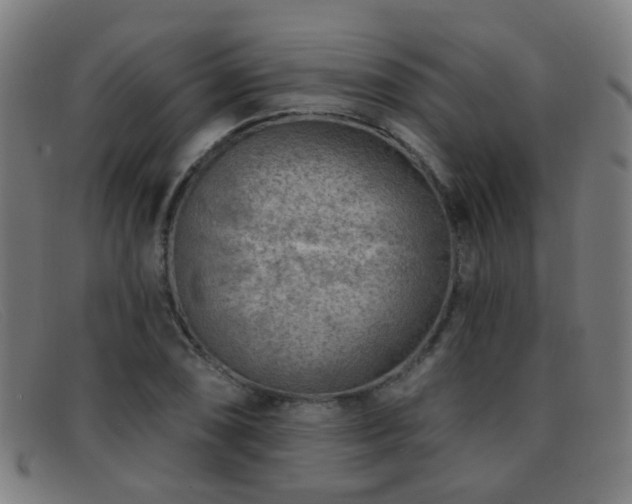 X0000092041074200709121149