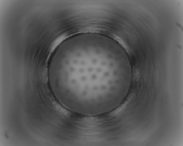 X0000092041075200709121149