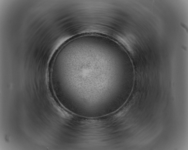 X0000092041076200709121149