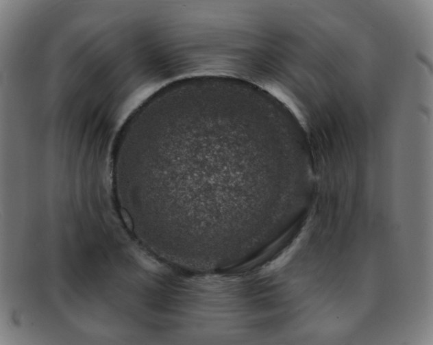 X0000092041077200709121149