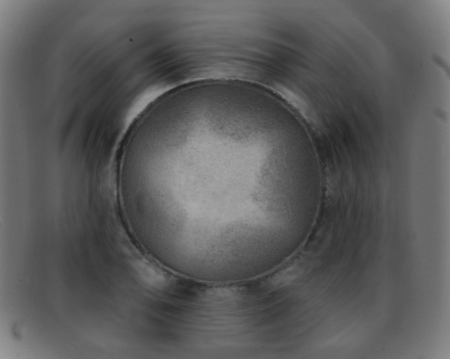 X0000092041078200709121149