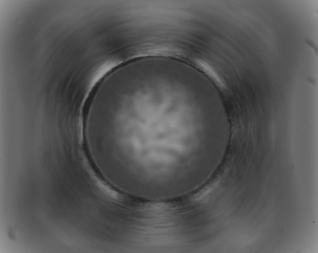 X0000092041079200709121149