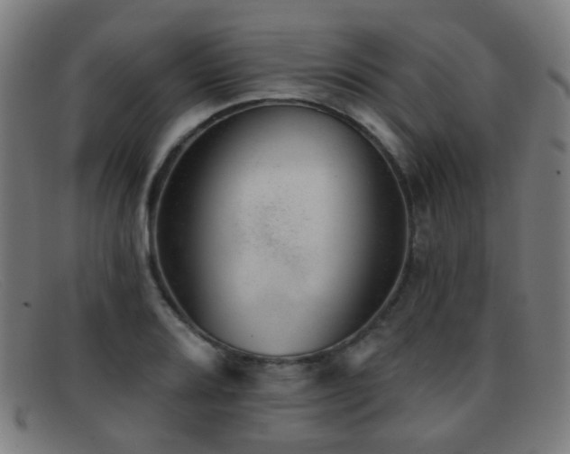 X0000092041080200709121149