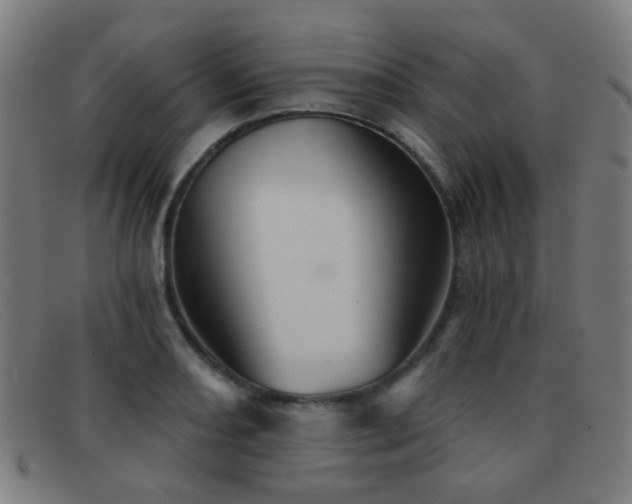 X0000092041082200709121149