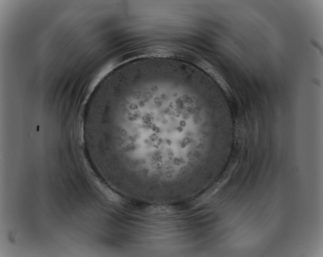 X0000092041083200709121149