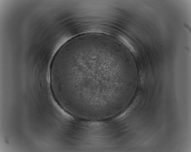 X0000092041084200709121149