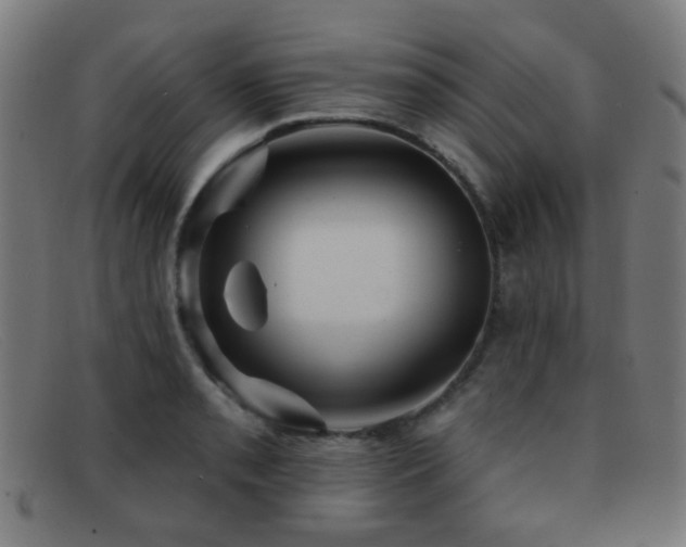 X0000092041085200709121149