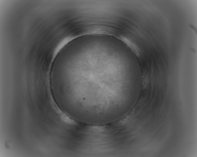 X0000092041086200709121149