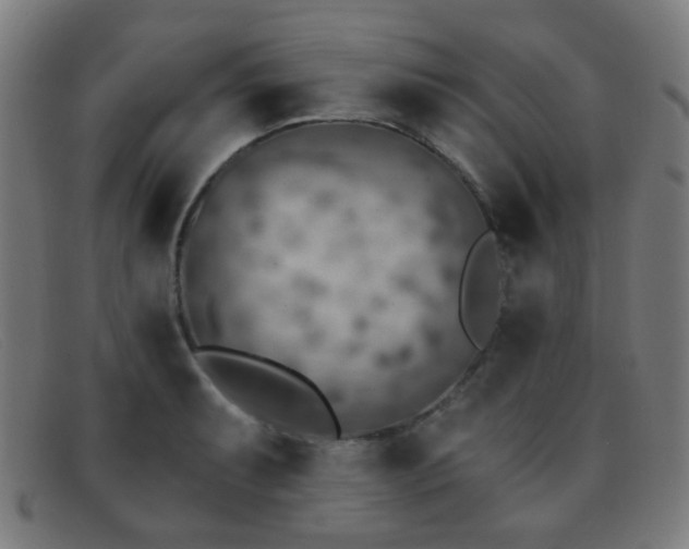 X0000092041087200709121149