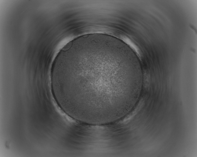 X0000092041088200709121149