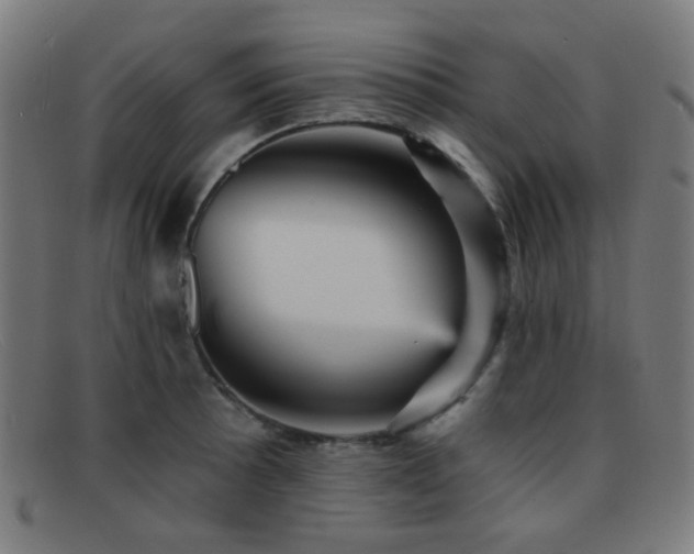 X0000092041089200709121149