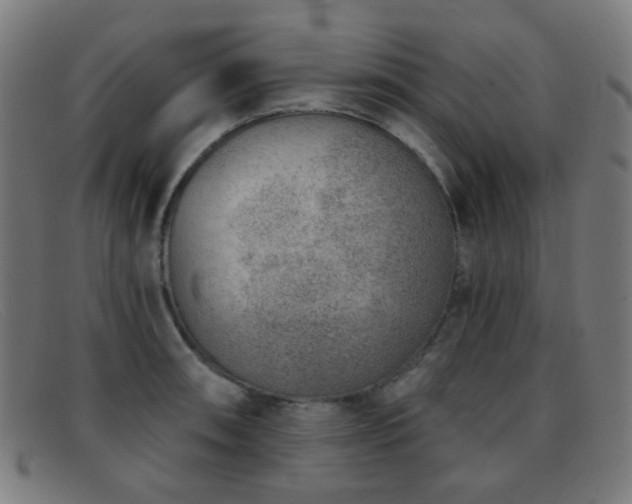 X0000092041090200709121149