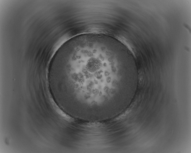 X0000092041091200709121149