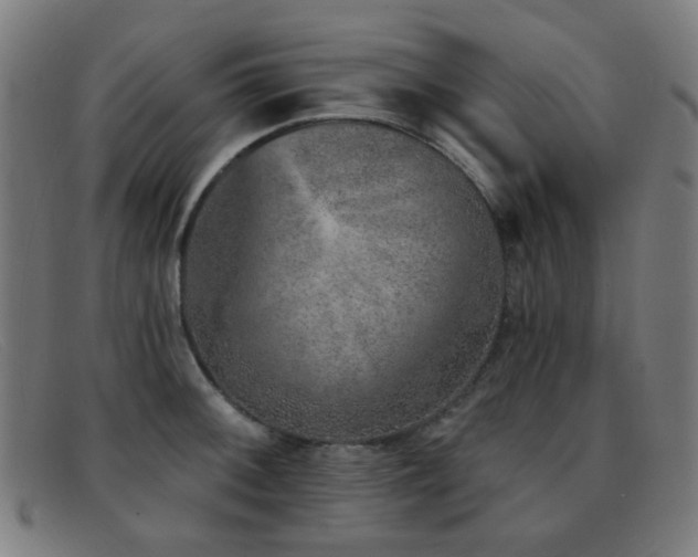 X0000092041092200709121149