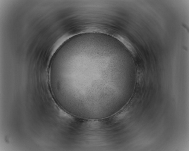 X0000092041094200709121149