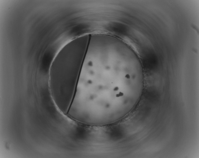 X0000092041095200709121149