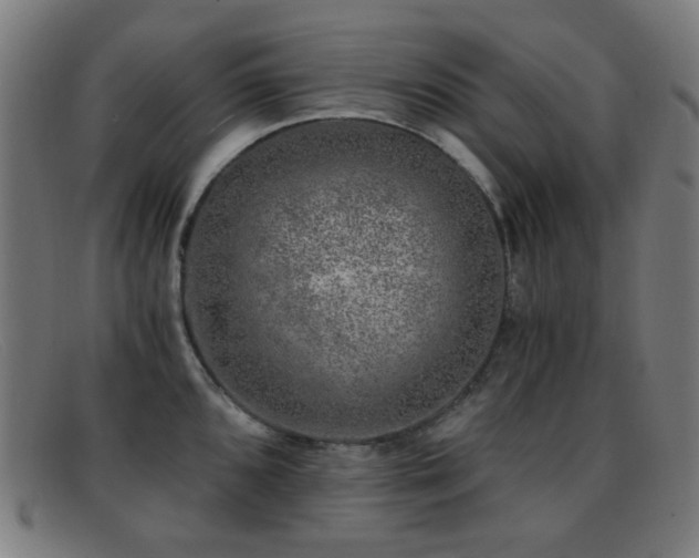 X0000092041096200709121149