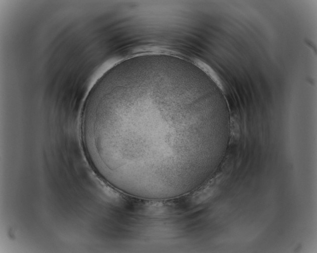 X0000092041098200709121149