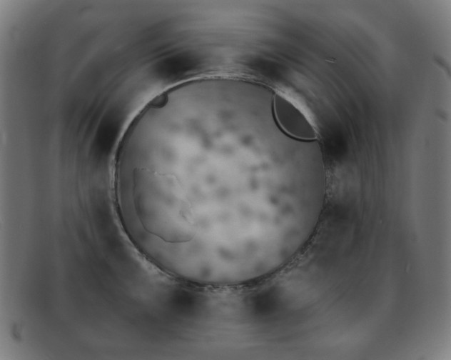 X0000092041099200709121149