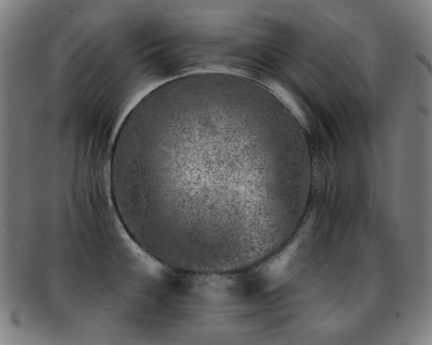 X0000092041100200709121149