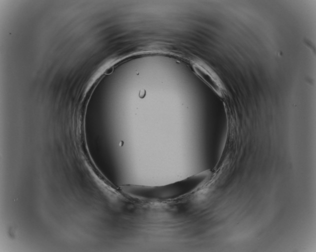 X0000092041101200709121149