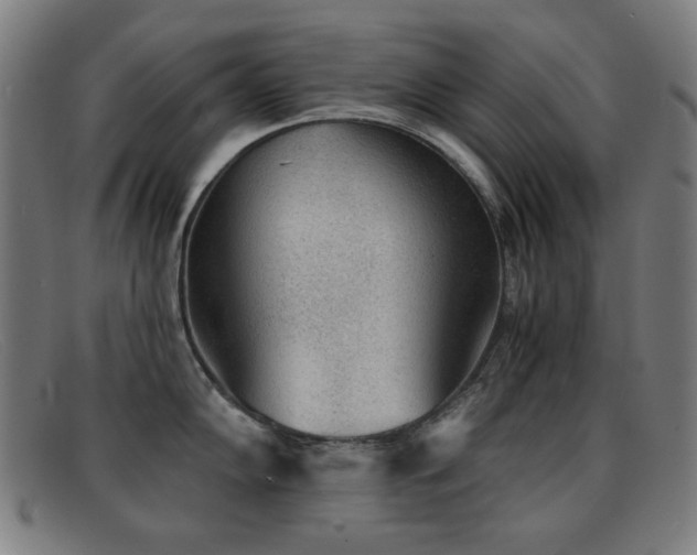 X0000092041102200709121149