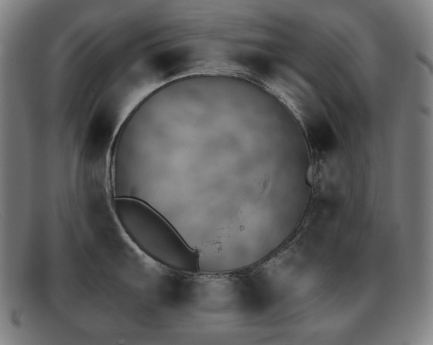 X0000092041103200709121149