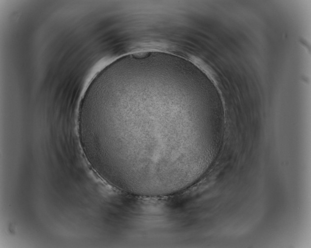 X0000092041104200709121149