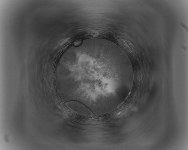 X0000092041105200709121148