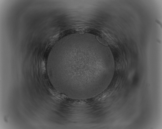 X0000092041106200709121148