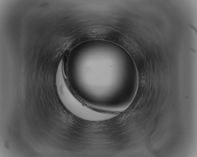 X0000092041108200709121148
