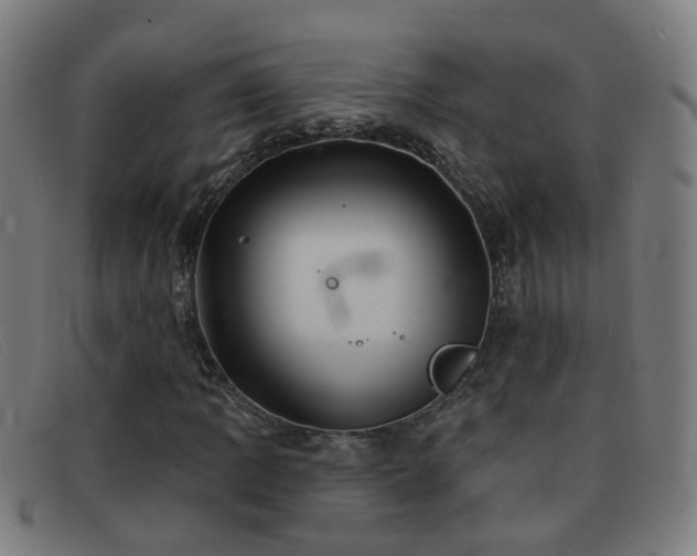 X0000092041109200709121148