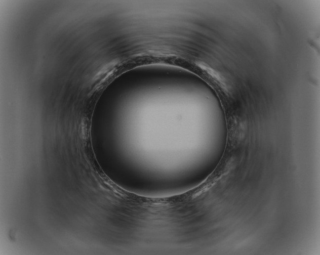 X0000092041110200709121148