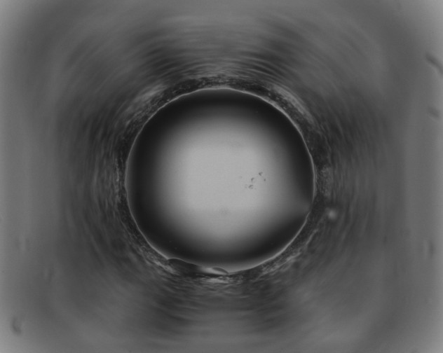 X0000092041111200709121148