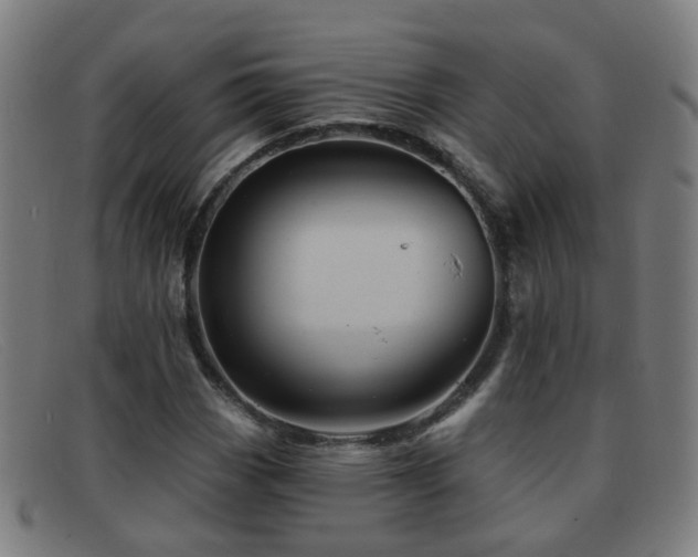 X0000092041113200709121148