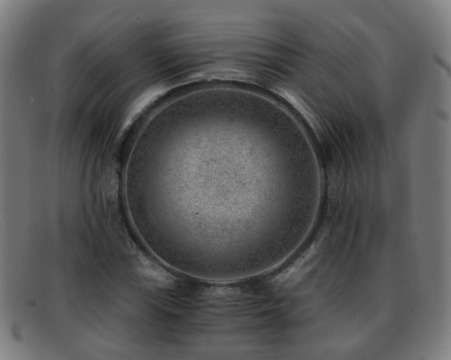 X0000092041115200709121148