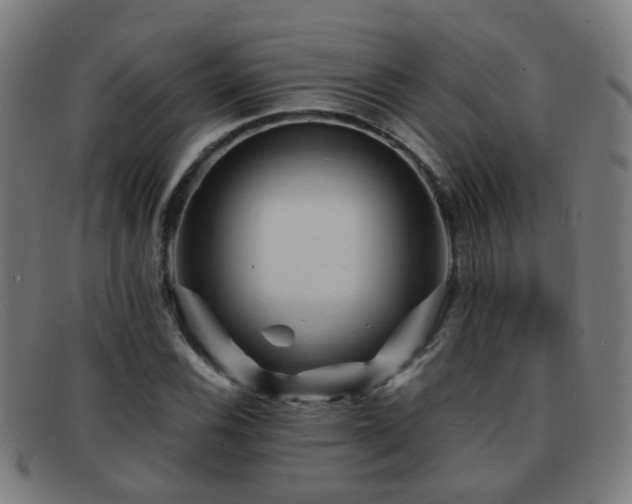 X0000092041116200709121148